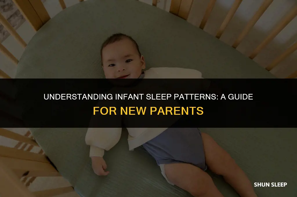 how many hours does a 5 month old sleep