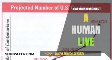 Lifespan Unveiled: The Astonishing Number of Hours a Human Lives