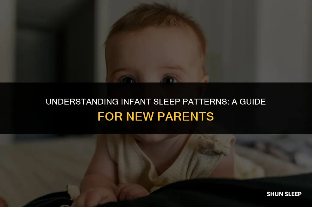 how many hours does a six month old sleep