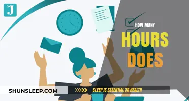 Unlocking Productivity: The Optimal Work Hours Debate