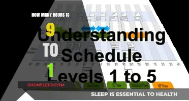 Understanding Work Hours: A Guide to the 9 to 1 Schedule