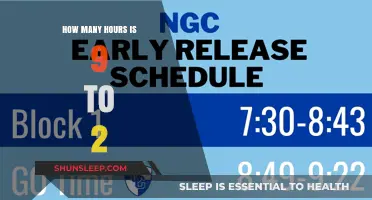 Time Flies: Unraveling the Mystery of the 9 to 2 Schedule