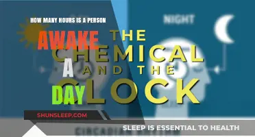 Exploring Wakefulness: A Deep Dive into Daily Alertness