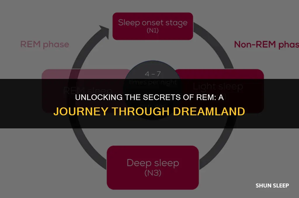 how many hours of rem