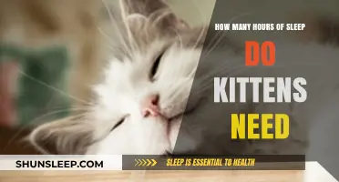 Understanding Kitten Sleep Patterns: A Guide for New Pet Owners