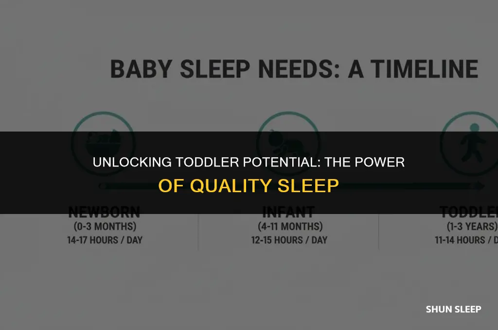 how many hours of sleep do toddlers need