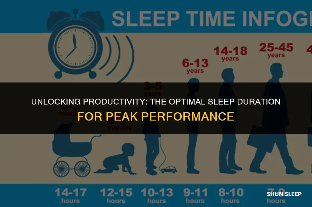 how many hours of sleep do you need to function