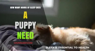 Puppy Slumber: Unraveling the Ideal Hours of Rest for Your Furry Friend
