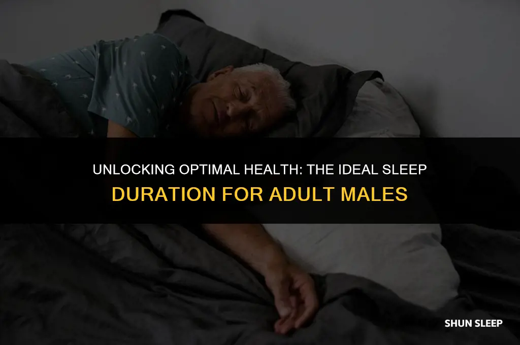 how many hours of sleep does an adult male need