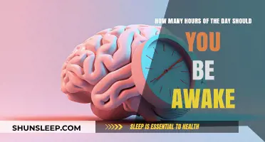 Awake and Alert: Finding Your Optimal Wakeful Hours