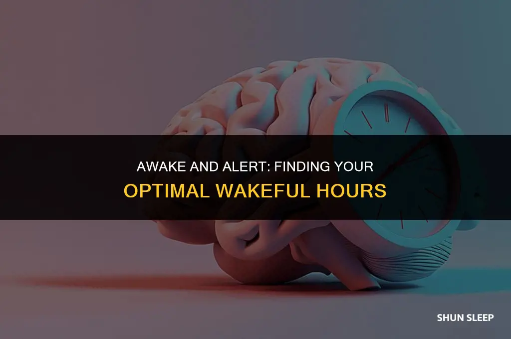 how many hours of the day should you be awake