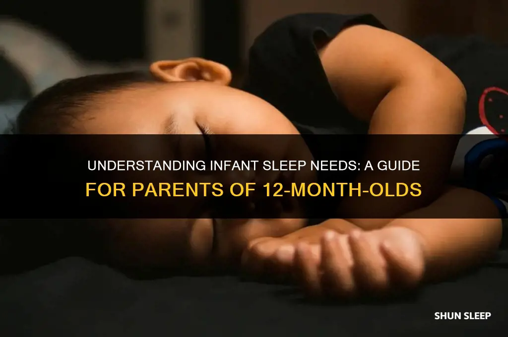 how many hours should 12 month old sleep