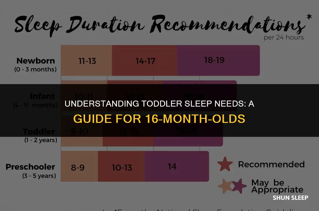 how many hours should 16 month old sleep