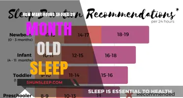 Understanding Toddler Sleep Needs: A Guide for 20-Month-Olds