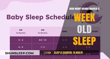 Understanding Newborn Sleep Patterns: A Guide for Parents
