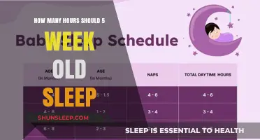 Understanding Newborn Sleep Patterns: A Guide for Parents