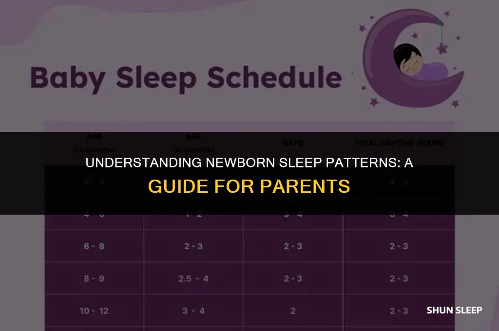 how many hours should 5 week old sleep