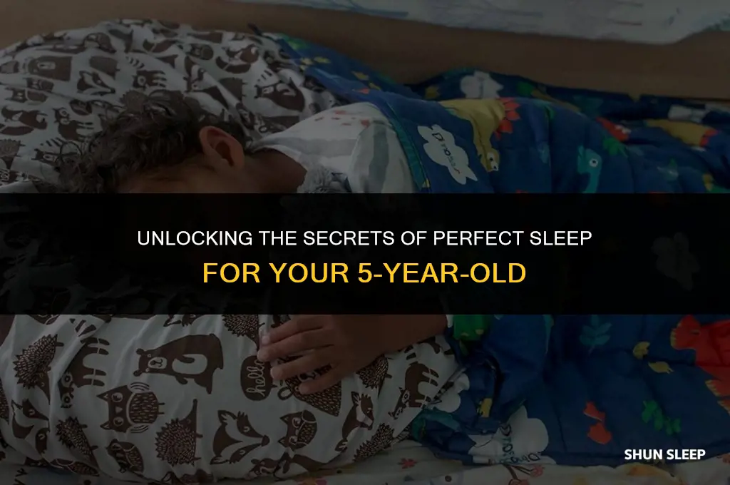how many hours should 5 year old sleep