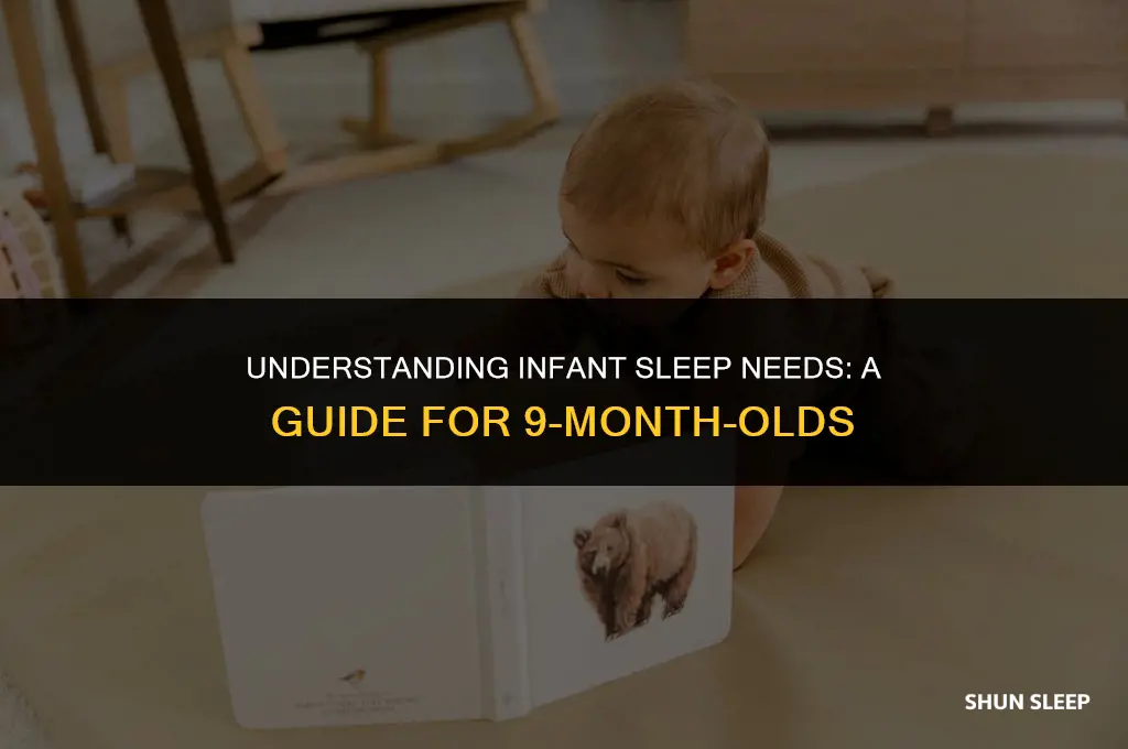 how many hours should 9 month old sleep