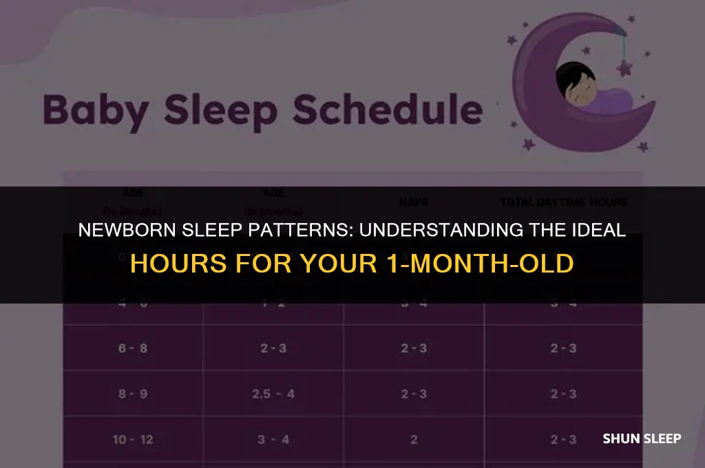 how many hours should a 1 month sleep