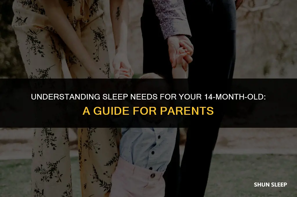 how many hours should a 14 month old sleep
