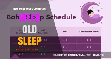 Understanding Newborn Sleep Patterns: A Guide for Parents