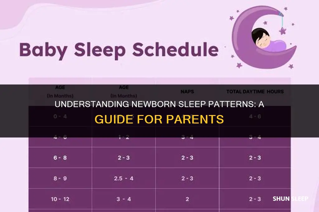 how many hours should a 6 week old sleep