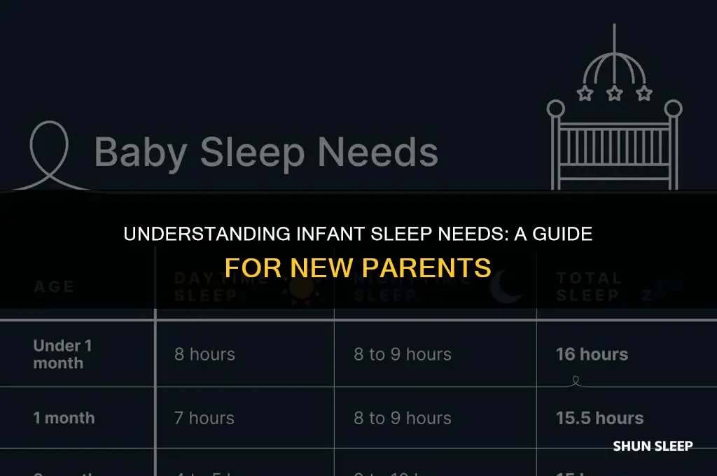 how many hours should my 3 month old sleep