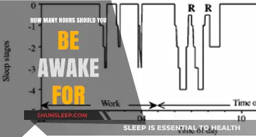 Unlocking Productivity: The Optimal Wakefulness Duration for Peak Performance