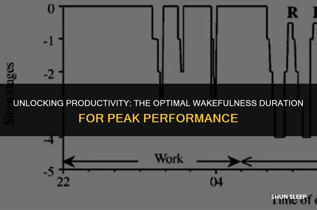 how many hours should you be awake for