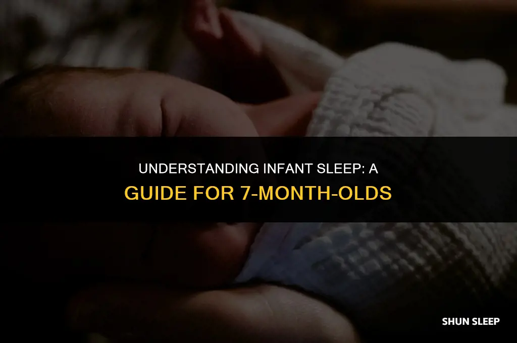 how many hours sleep for 7 month old