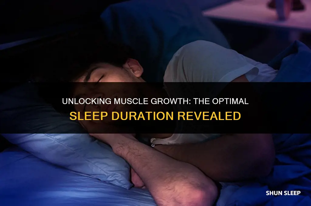 how many hours sleep for muscle growth