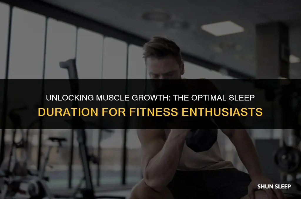 how many hours sleep to build muscle