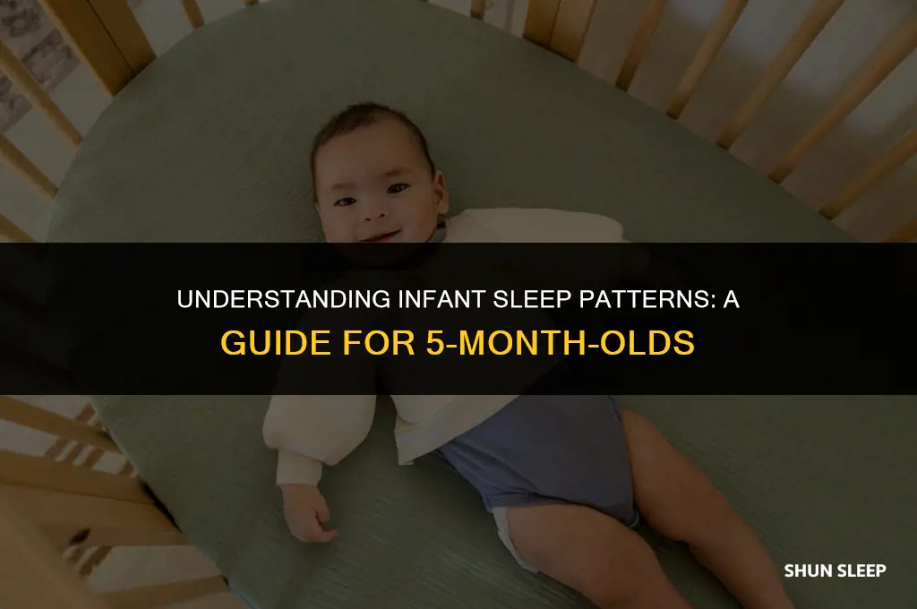 how many hours straight should a 5 month old sleep