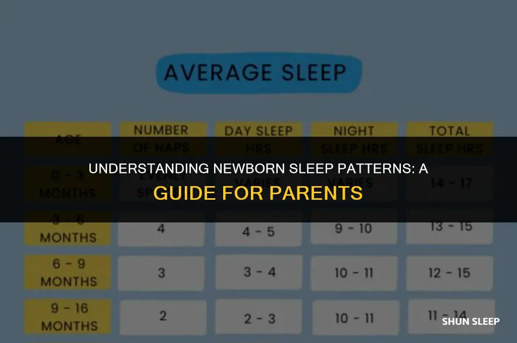 how many hours straight should a newborn sleep