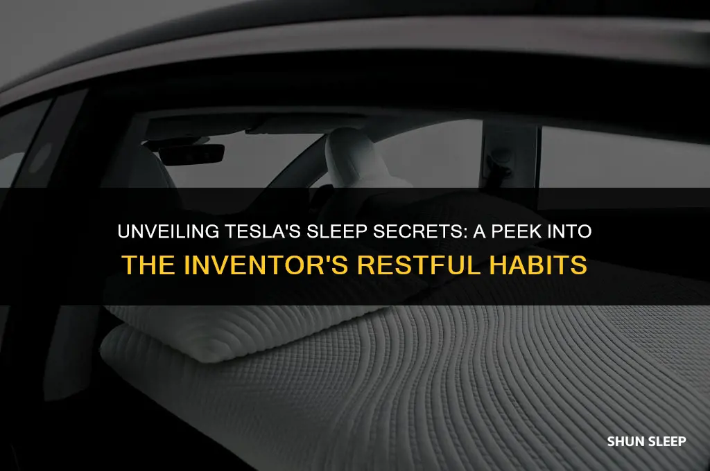 how many hours tesla sleep