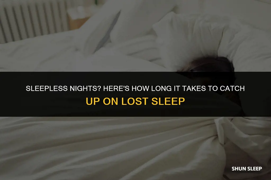 how many hours to catch up on sleep
