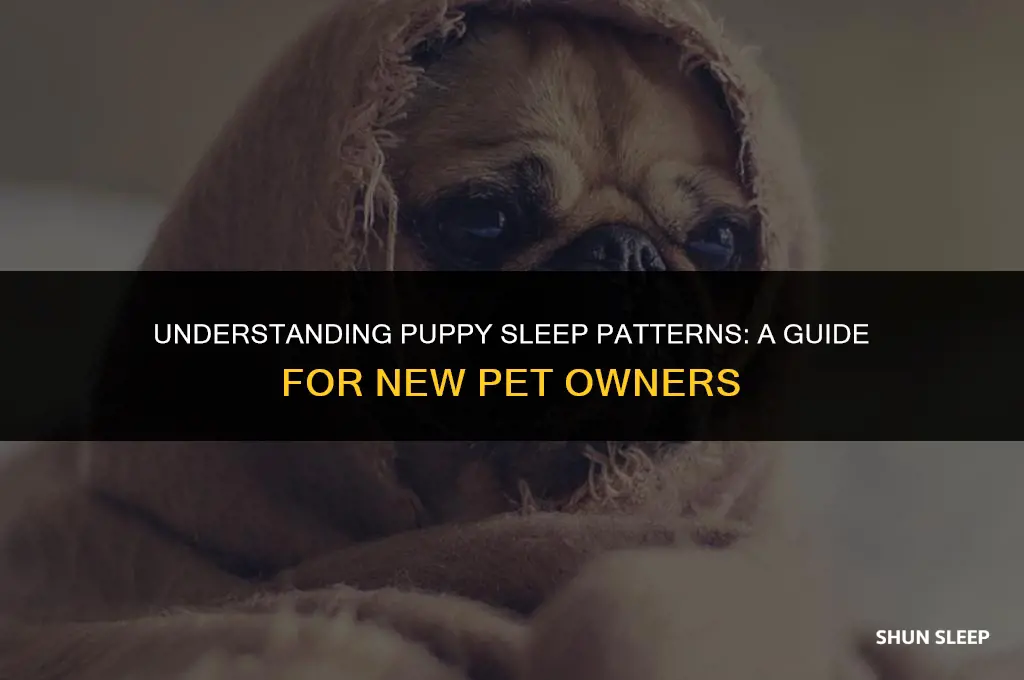 how many hours to puppies sleep