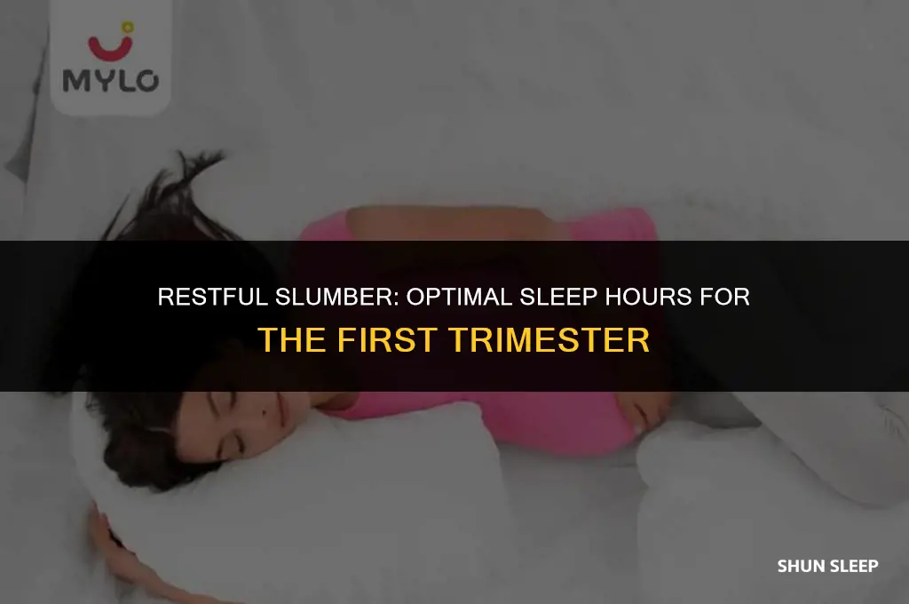 how many hours to sleep during first trimester