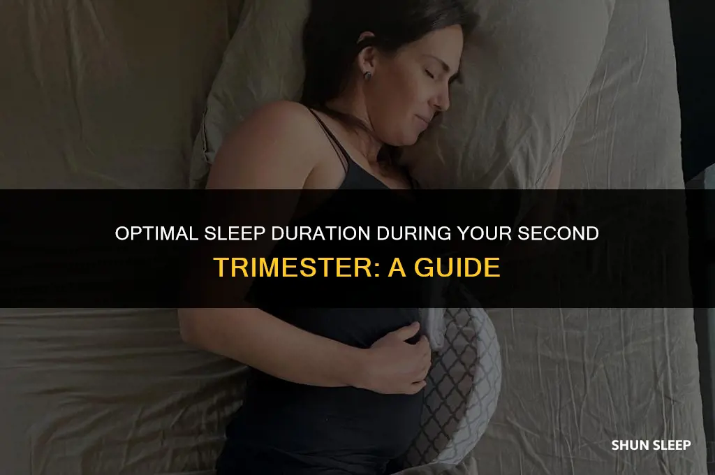 how many hours to sleep during second trimester