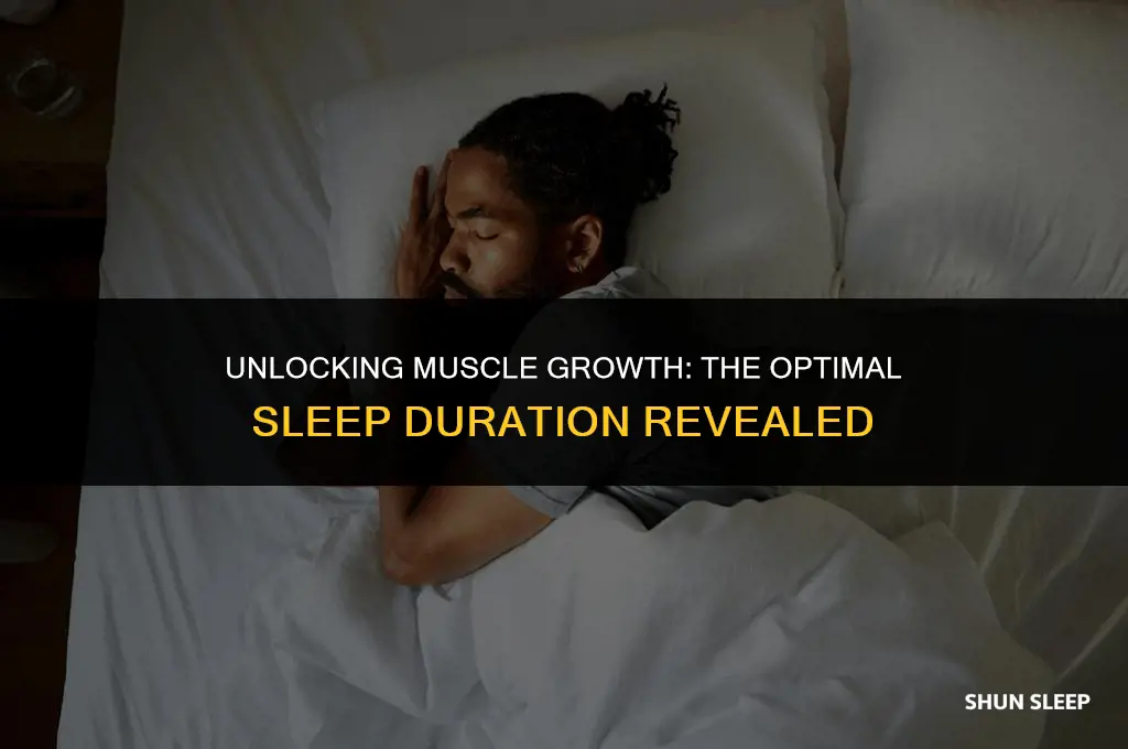 how many hours to sleep for muscle growth
