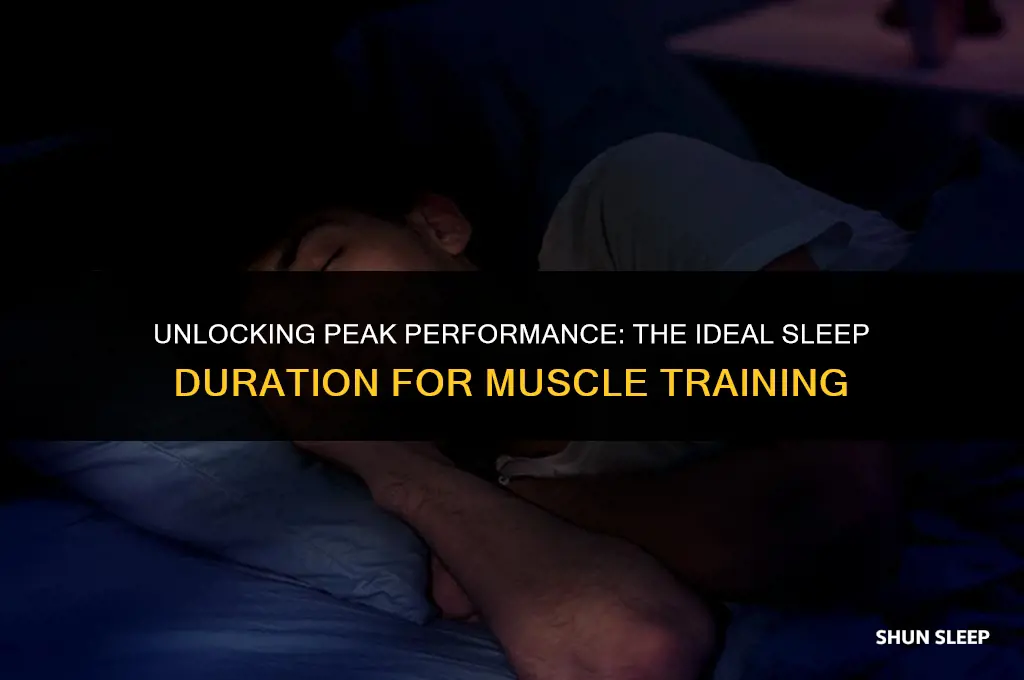 how many hours to sleep for optimate muscle training