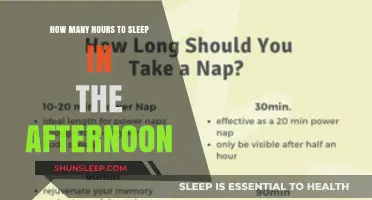 Afternoon Slumber: Optimal Hours for a Refreshing Nap