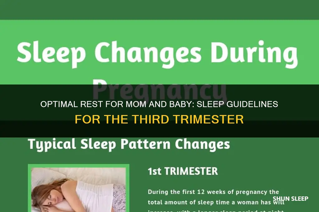 how many hours to sleep in third trimester