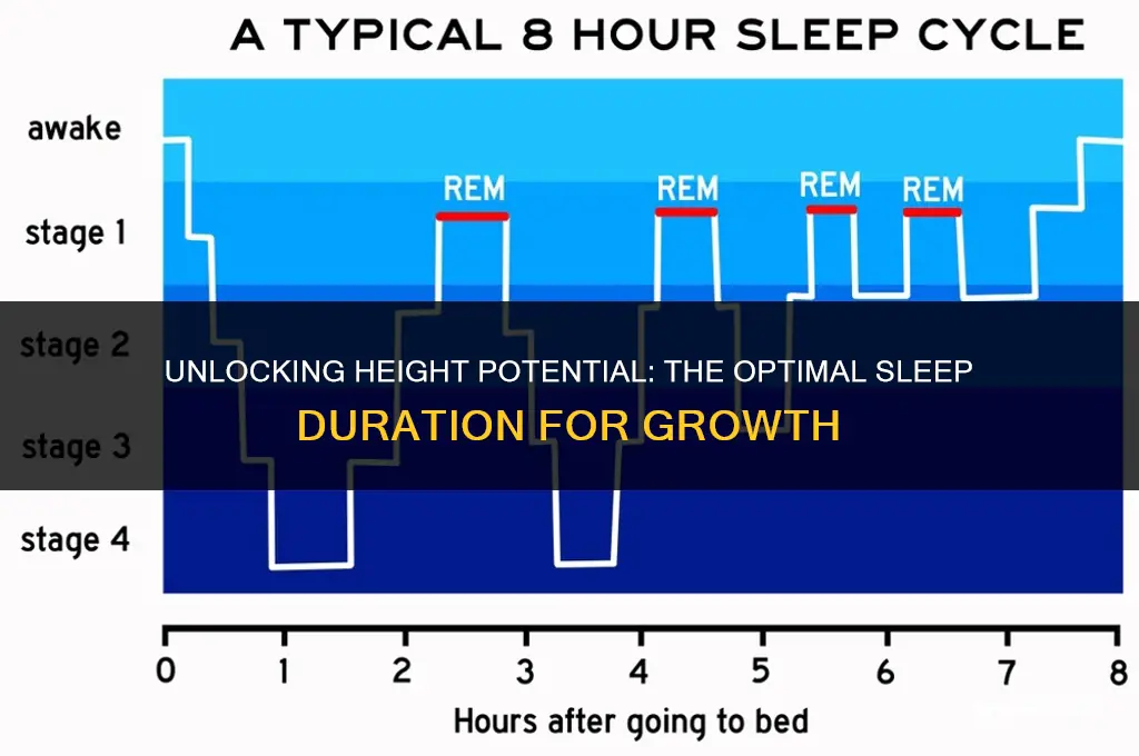 how many hours to sleep to get taller