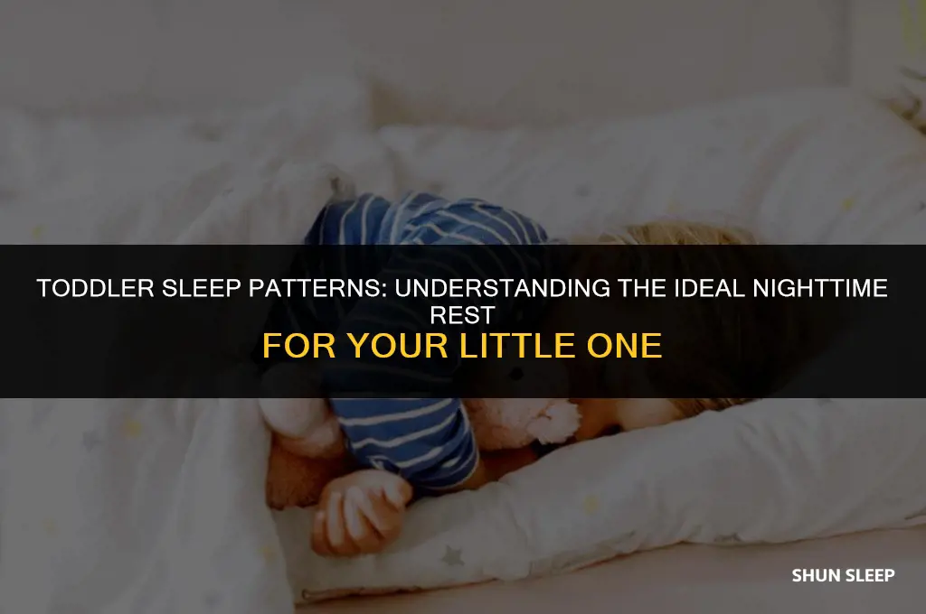 how many hours toddler sleep at night