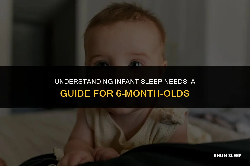 how many hours total should a 6 month old sleep