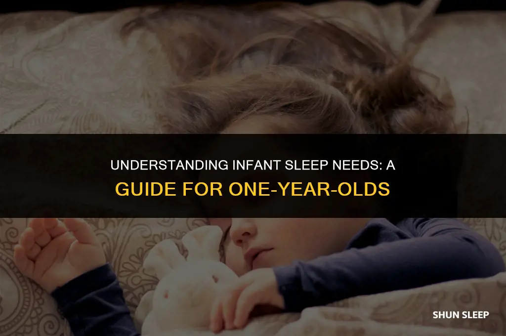 how many hours total should a one year old sleep