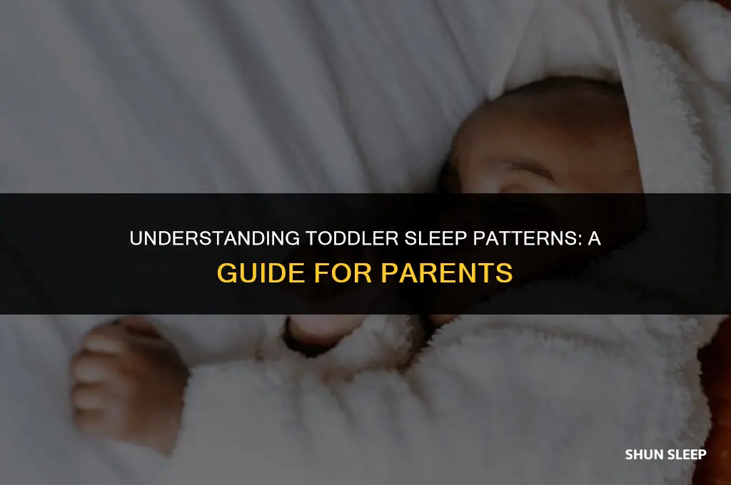 how many hours two year old sleep