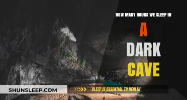 Unveiling the Mysteries of Slumber in a Dark Cave